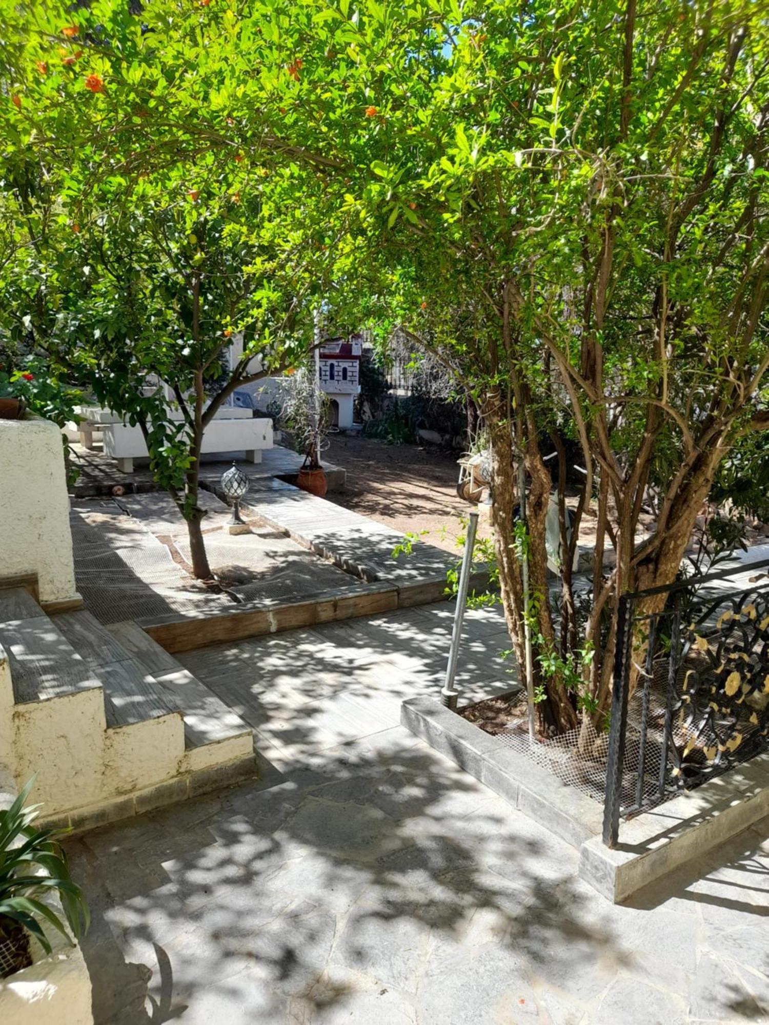 Αίγινα Εξοχική Κατοικία Eginitissa Exterior foto